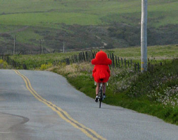 Click for an even larger view