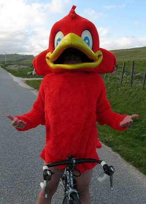 Click for an even larger view