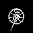 live Rudge chainring